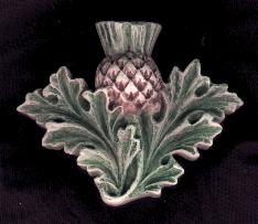 Scottish Thistle