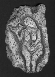 Venus of Laussel